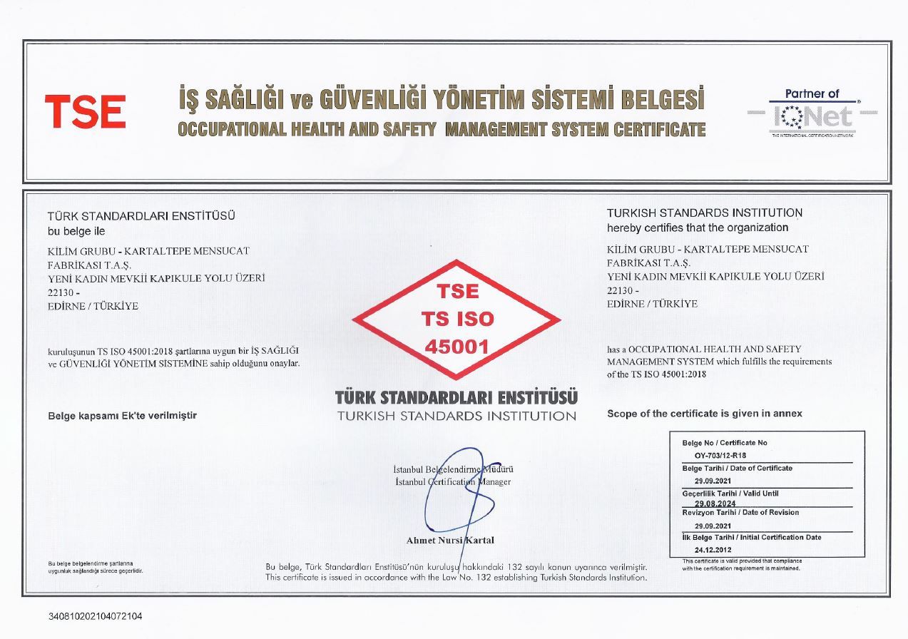 ISO 45001 — Occupational Health & Safety